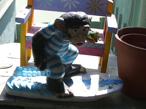 Surfing Chimp