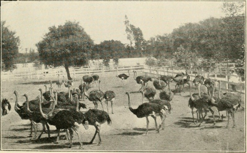 14577236357_c283d74cad_h