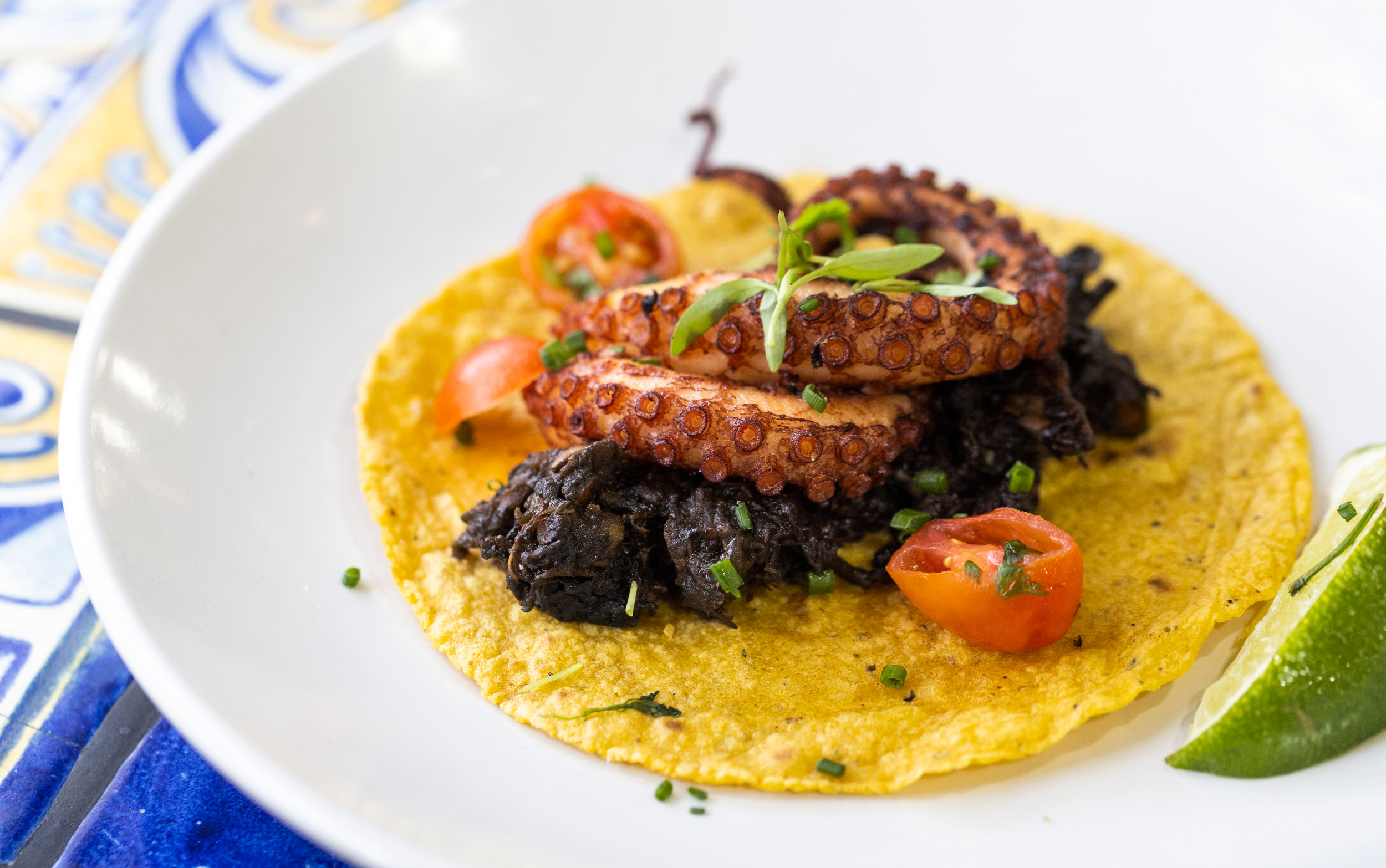 Holbox taco de pulpo en su tinta. Photo by Memo Torres for L.A. TACO.