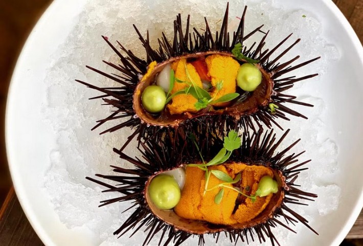 Erizo (sea urchin) ceviche at Holbox