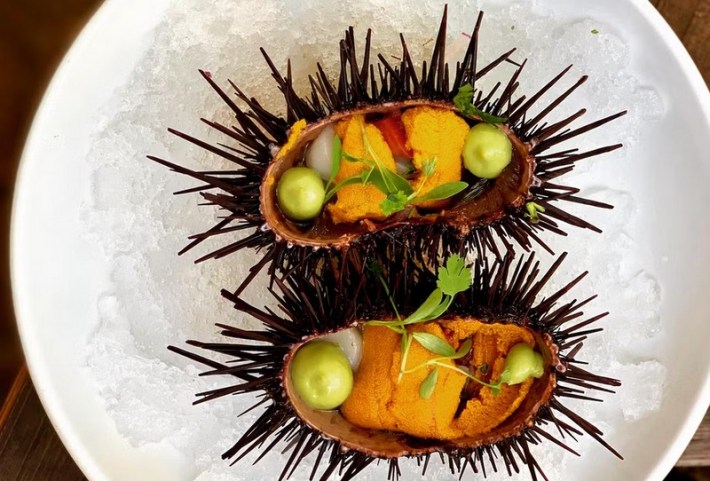A split sea urchin with ceviche inside at Holbox in LA