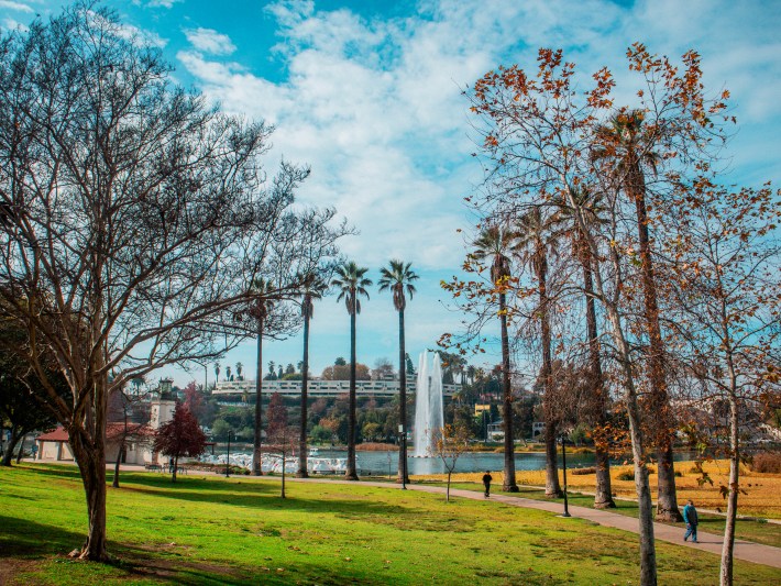 A shot of Echo Park Lake through the trees, with the fountain spraying into the sky