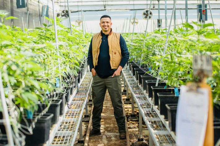 Don Perico founder Cesar Guzman, standing in a greenhouse filled with cannabis plants