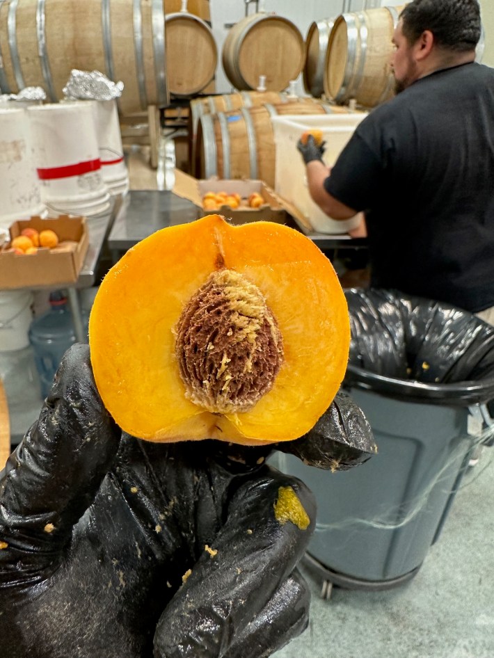 Matsumoto peach cut in half.