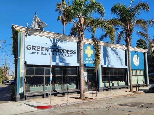 Green Goddess Collective in Venice