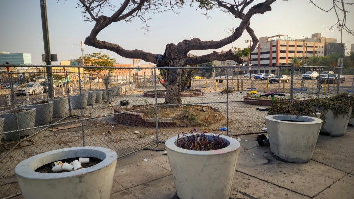 Giant planters and a chainlink fence surround the sidewalk at 3rd and Main Streets in DTLA. A barren tree is in the middle of the frame and trash is scattered on the ground in the fenced off area.