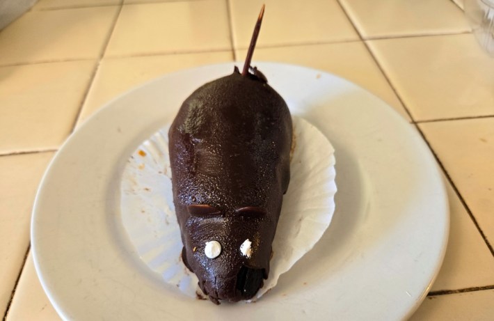 A chocolate rat