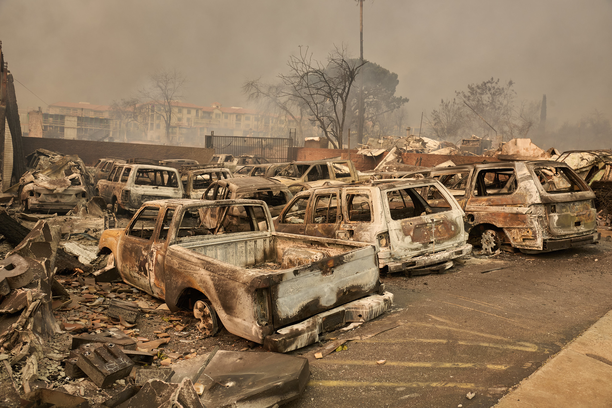 Rows of burned cars in the aftermath of the Eaton Fire that destroyed much of Altadena in January, 2025. Photo by Maks Ksenjak for L.A. TACO.