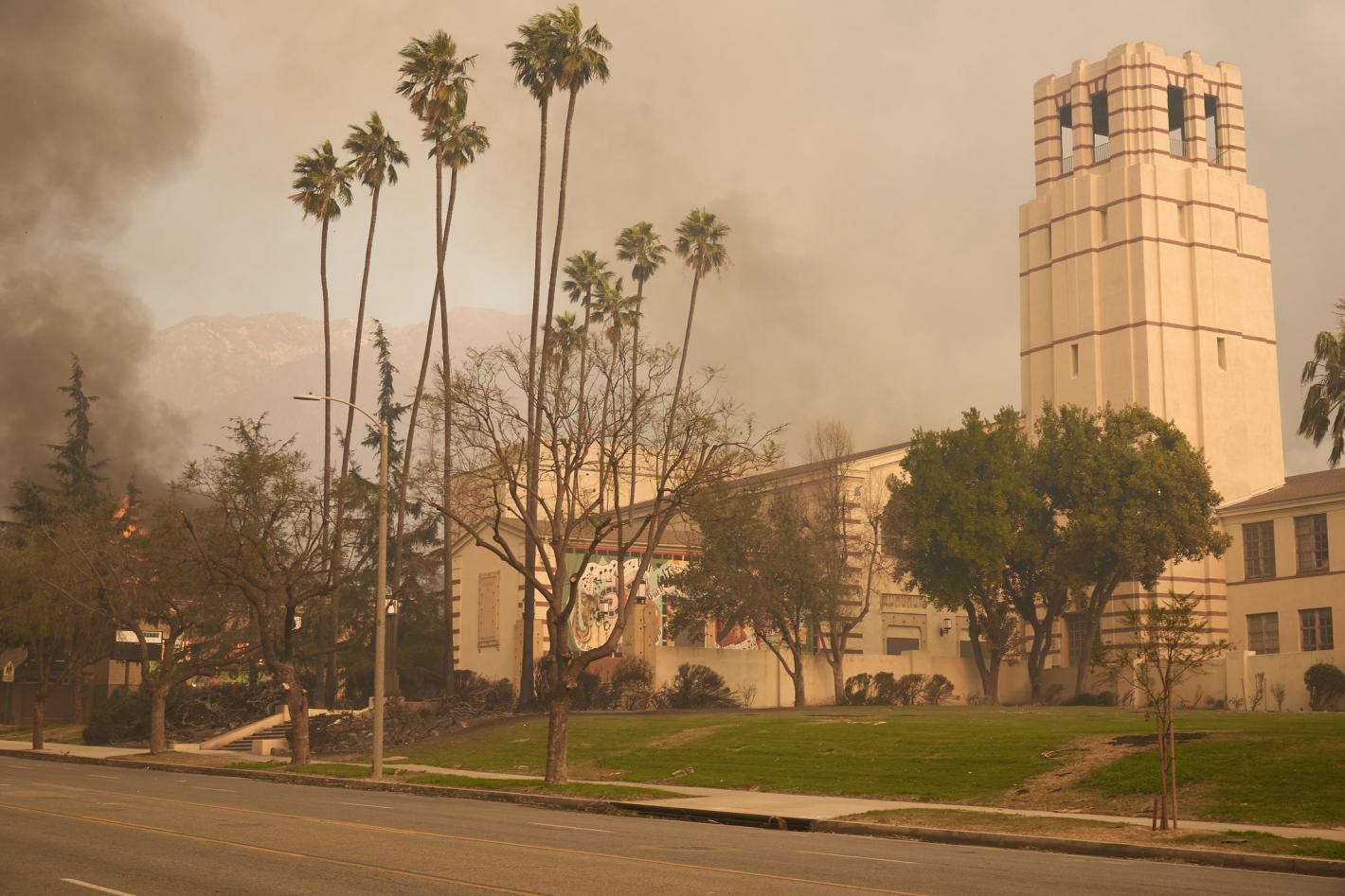 The Ashes of Altadena and the Cost of Creative Survival