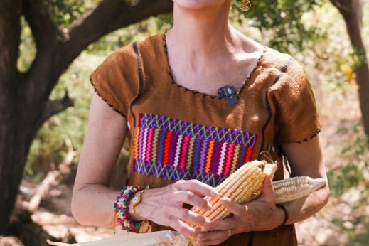 Photo of Sheinbaum holding an ear of corn.