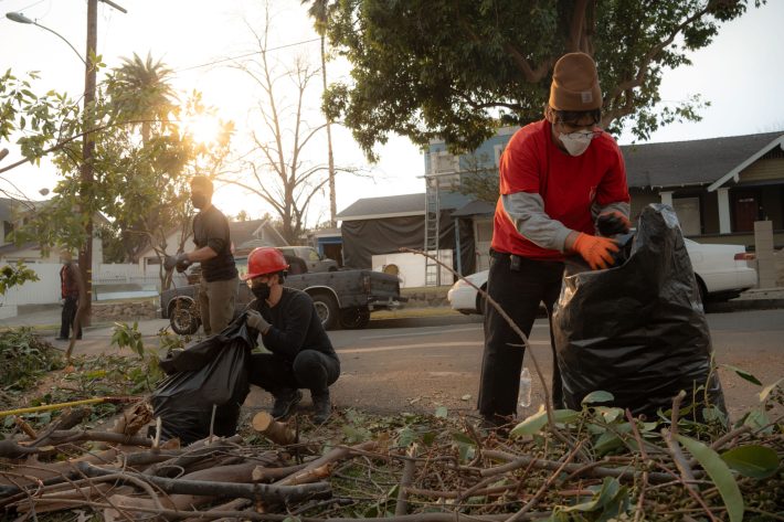 Volunteers wear masks to help protect themselves from wildfire smoke as they clear downed trees in Pasadena.