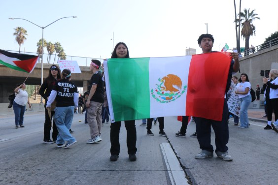 Why Waving a Mexican Flag at a Protest in the U.S. Is a Form of Resistance