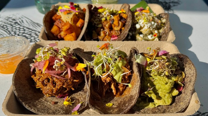 Six tacos from 5 Cazuelas both meat and meatless ones sit on two plates.