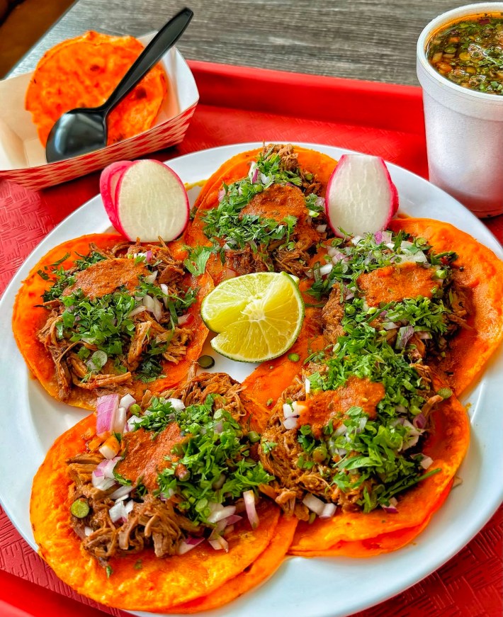 Teddy's red tacos, served on a plate and are topped with steamy birria, cilantro, onion and fresh slices of radishes and limes sit on the sides.