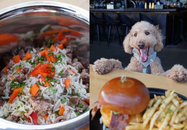 A dog smiling at a burger and bowl full of food.