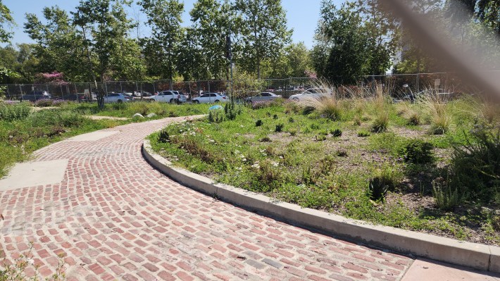 Weeds overtake a garden bed at Alameda Triangle.