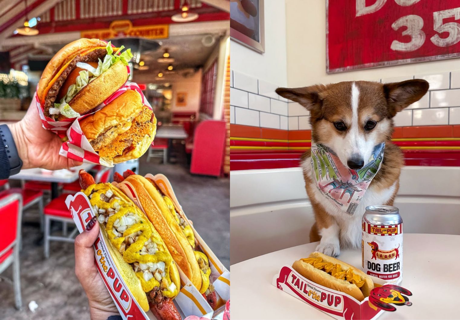 hot dogs, burgers and a dog.