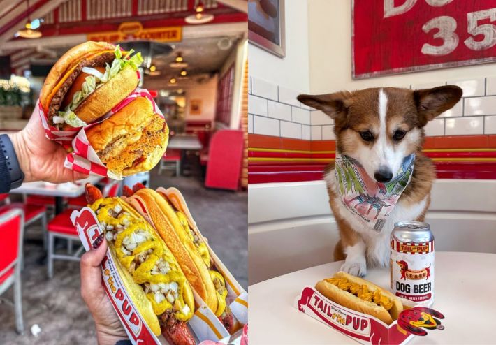 hot dogs, burgers and a dog.