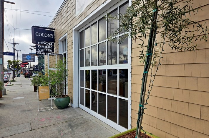 A beige paneled buildng with a black sign that reads Colony Food Drink Coffee Grab n' Go, with an olive tree on its right flank
