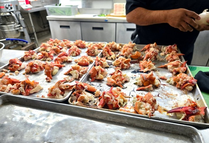 A large tray full of different piles of lobster meat, including claws, with the arm of a chef behind it.