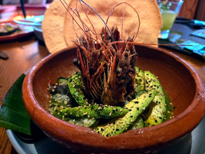 Head-on shrimp sticking out of a ceramic bowl surrounded by a circle of sesame seed-covered avocado.