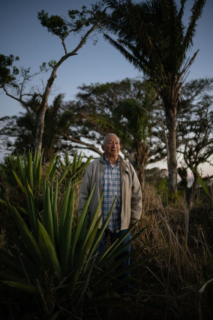 Japo in his agave fields