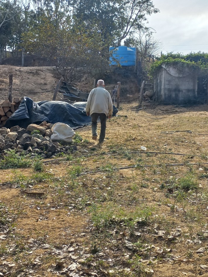 Japo walking into his coastal agave fields.