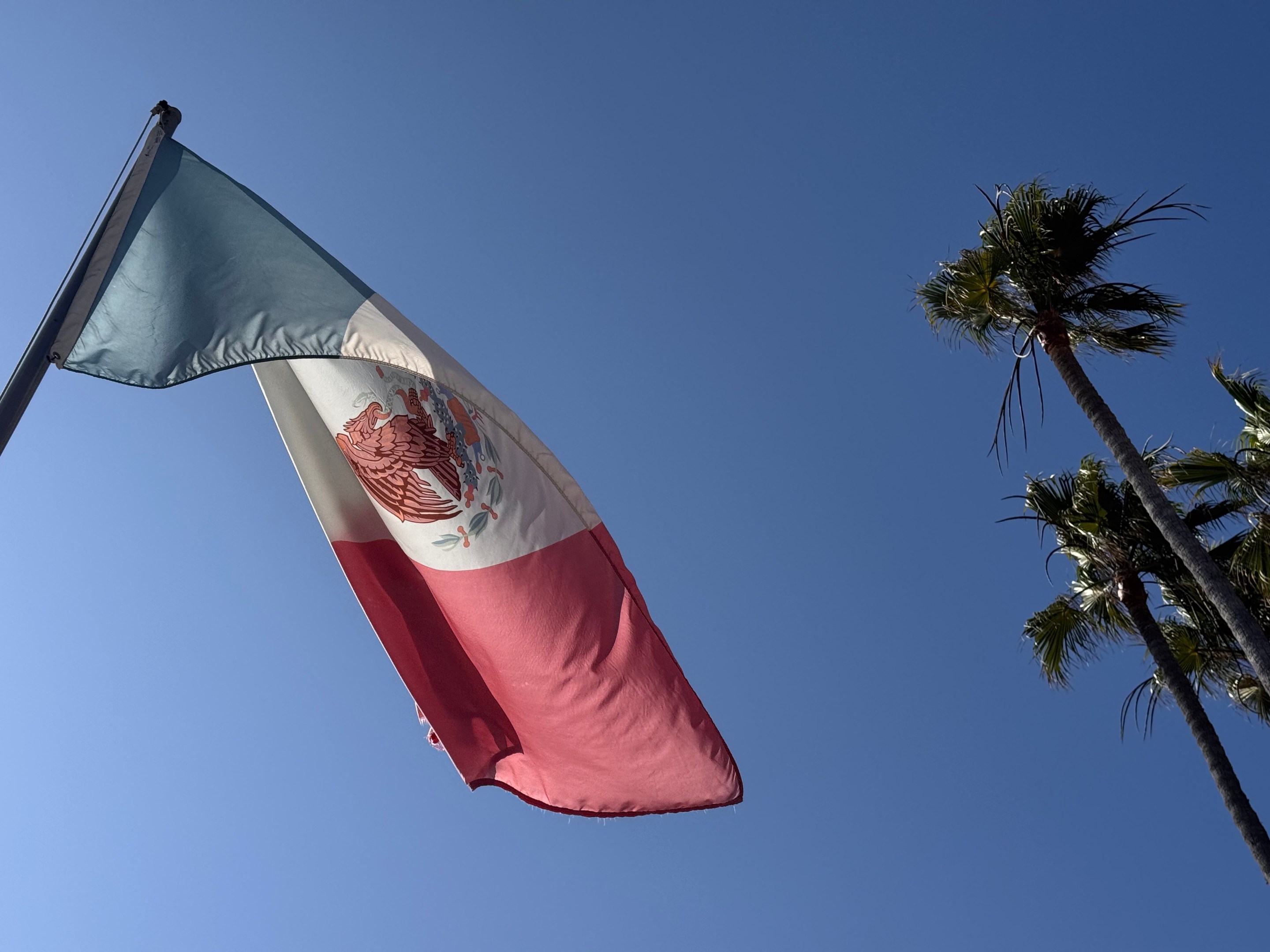 Mexico flag in Baja