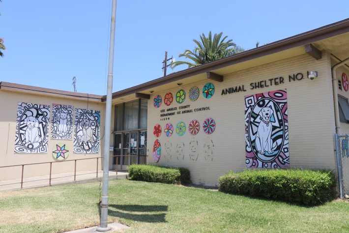 Outside entrance of the Downey Animal Shelter.