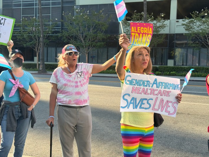 Three protestors holding up signs in support of healthcare for transgender youth. One says Alegria Trans, another says Gender-Affirming Healthcare Saves Lives."
