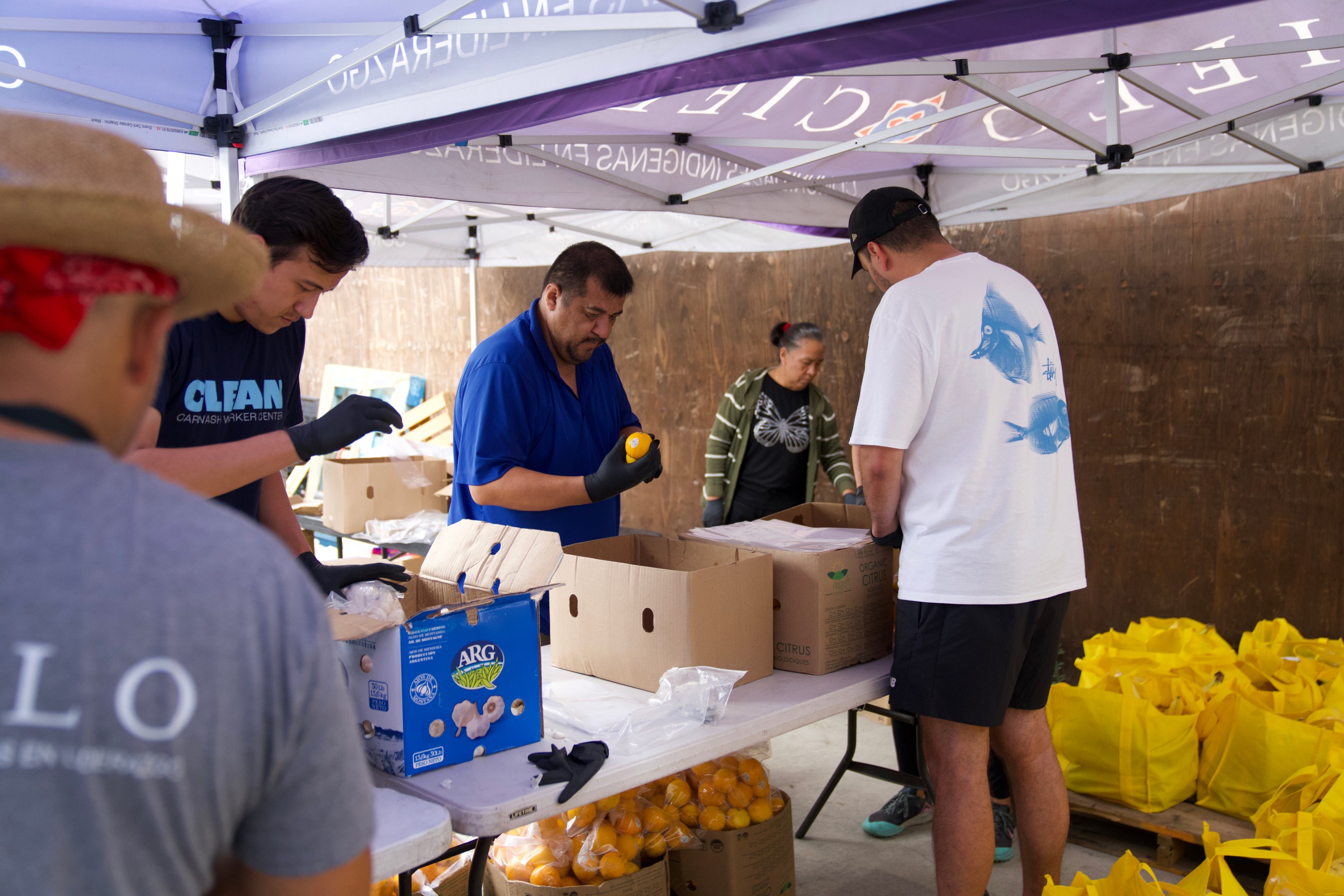 Photo of CIELO volunteering boxes full of culturally meaningful food.