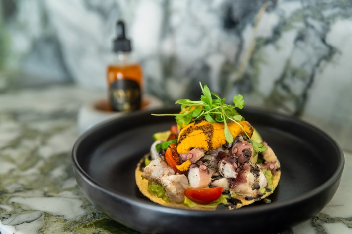 Mayan octopus tostada at Ceviche Project. Photo by Erwin Recinos for L.A. TACO.