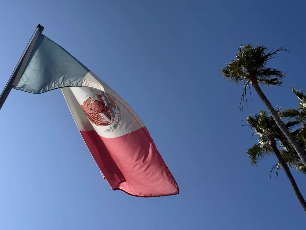 The Mexican flag flying next to two palm trees