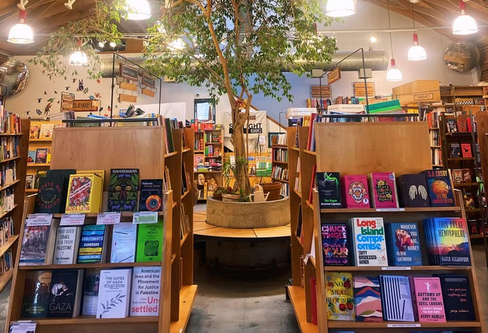 Two displays of books with a tree growing between them in a pot