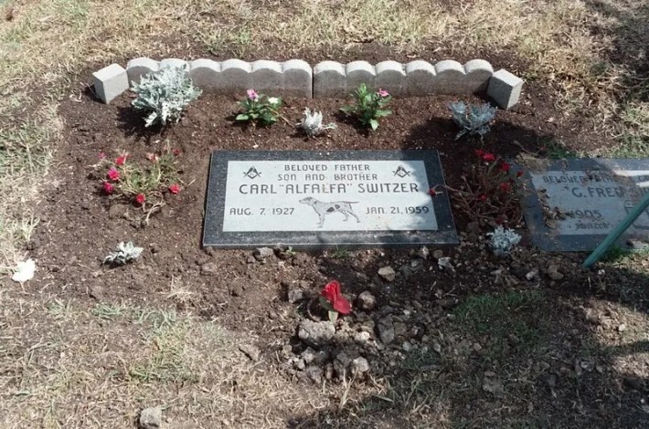 A flat gravestone is shown honoring Carl "Alfalfa" Switzer. An image of a dog is below the name.