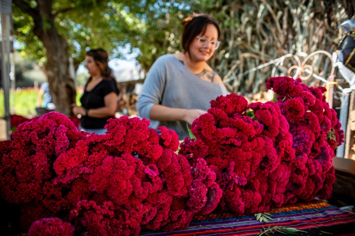 dark pink marigolds are on a table, and a woman is smiling behind the table