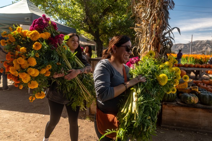 Two women carry bundles of flowers