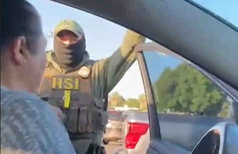 An a masked HSI Agent speaking with a woman in her car with the door open.