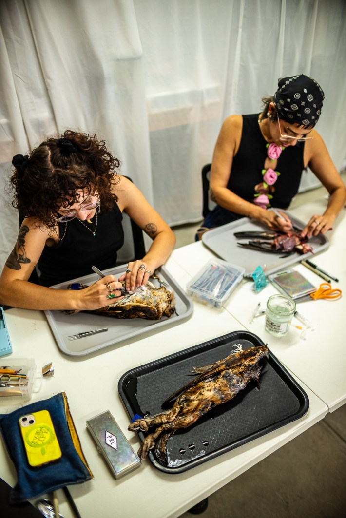 Two women are focused on the taxidermy process before them, both working on birds.