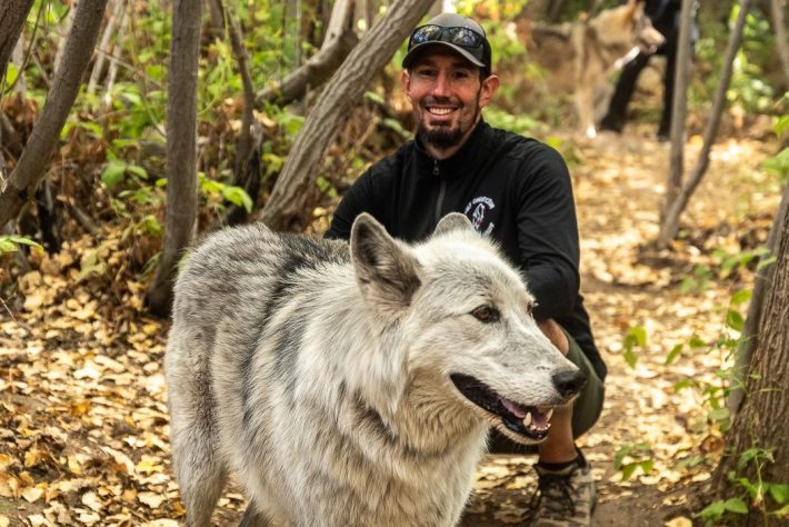 a man squats and smiles next to a white/grey wolf