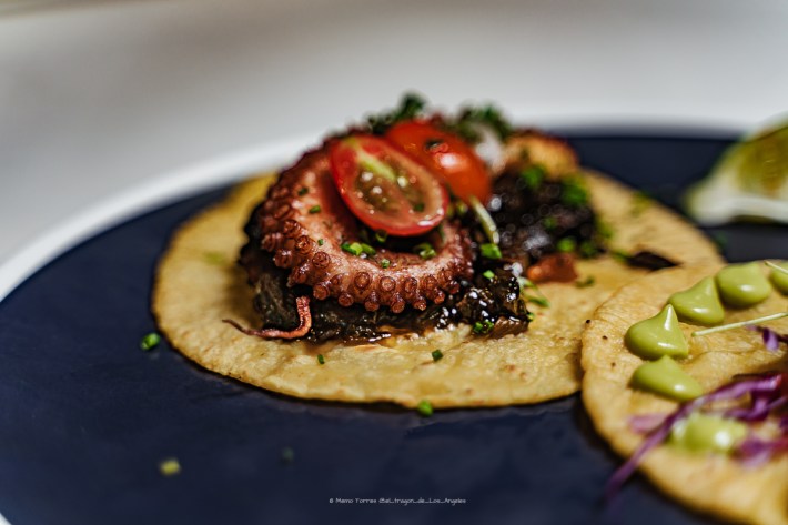 a corn tortilla with grilled octopus and tomatoes