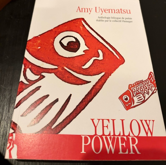 a red and white book cover showing a large koi fish and small koi fish