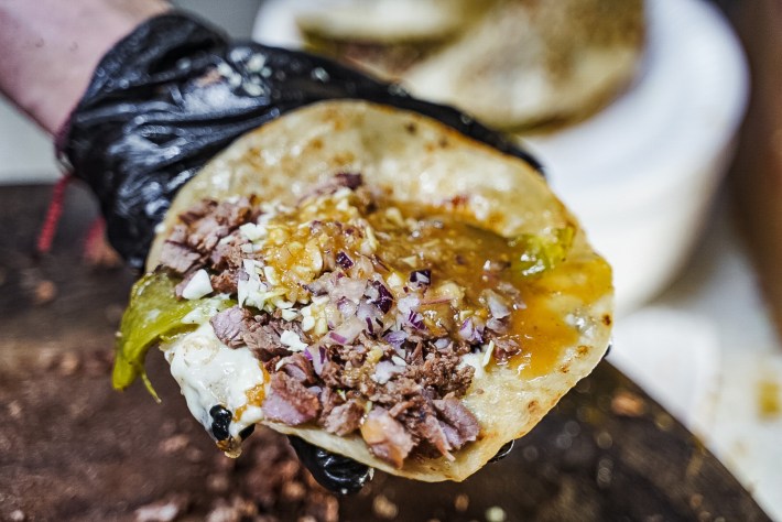 a gloved hand holding a taco