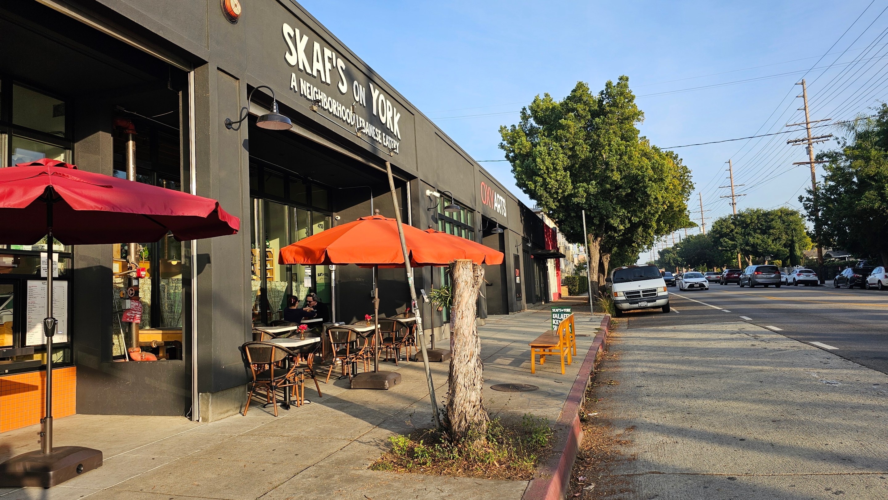 A tree that has been reduced to about five feet tall stands outside of Skaf's On York.