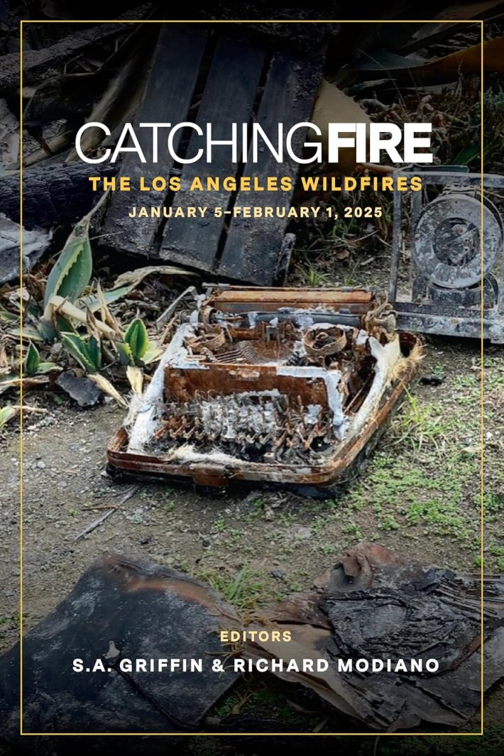 a book cover showing a burned typewriter