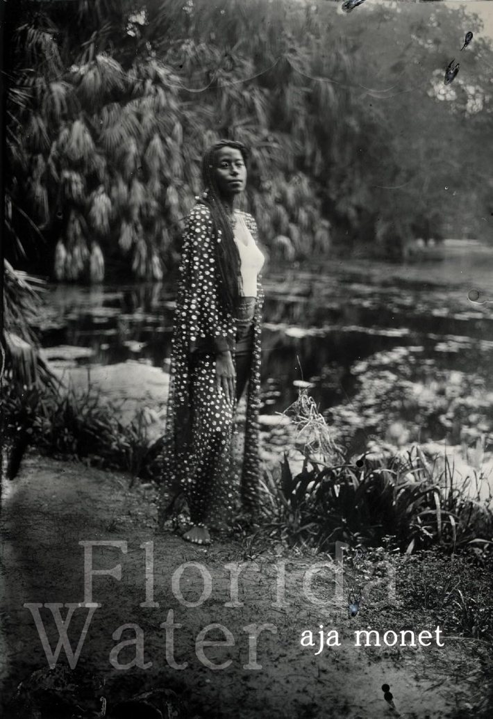 a book cover showing a woman standing near a body of water with many trees around