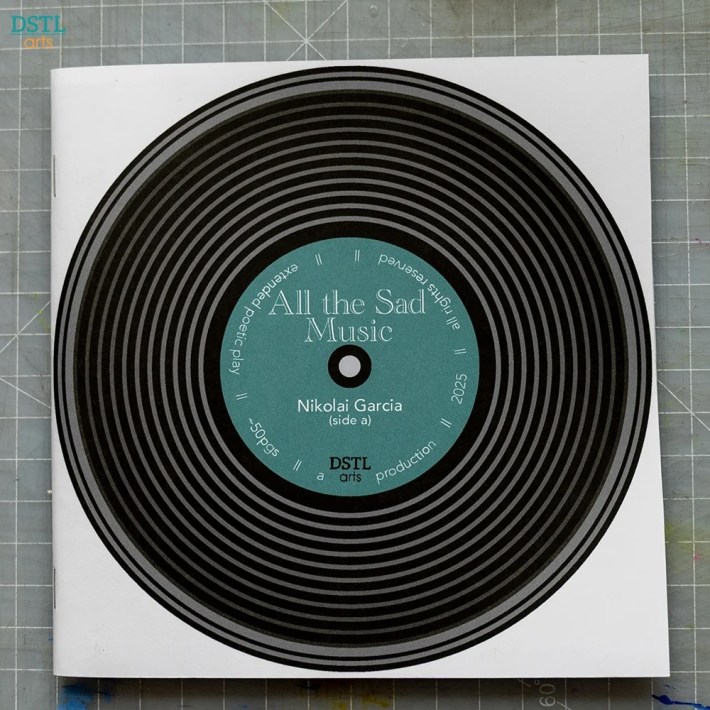 a book cover depicting a vinyl record
