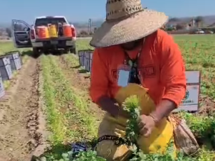 Screenshot via @UFWUpdates/Instagram.