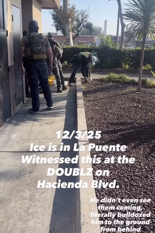 a man is seen being forcibly held by masked federal agents