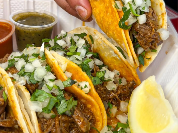 Birria tacos with cilantro and onion.